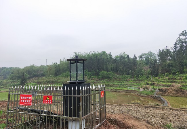 从云端到农田,智慧农业助力可持续发展