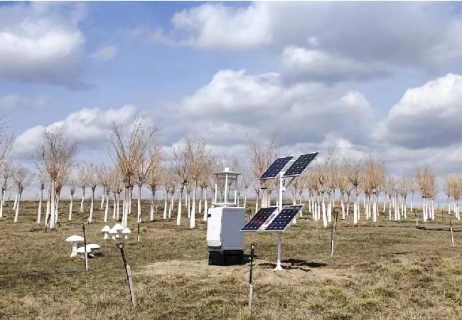 物联网杀虫灯:科技智能化农业的新时代