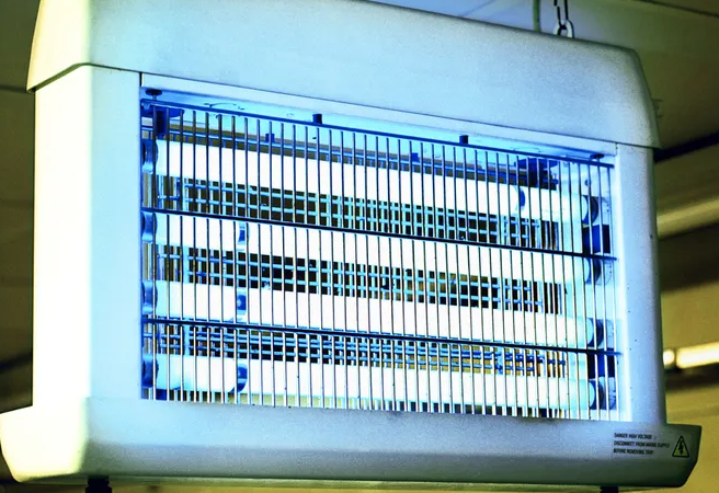 1763542740158331.png image.png