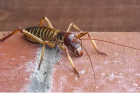 1763544689165801.png image.png