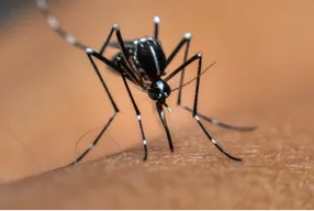 1763544709119641.png image.png