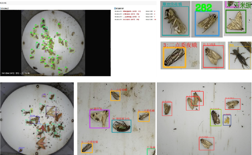 重磅！河南省农科院与云飞科技联合发布DeepSeek农业智能体