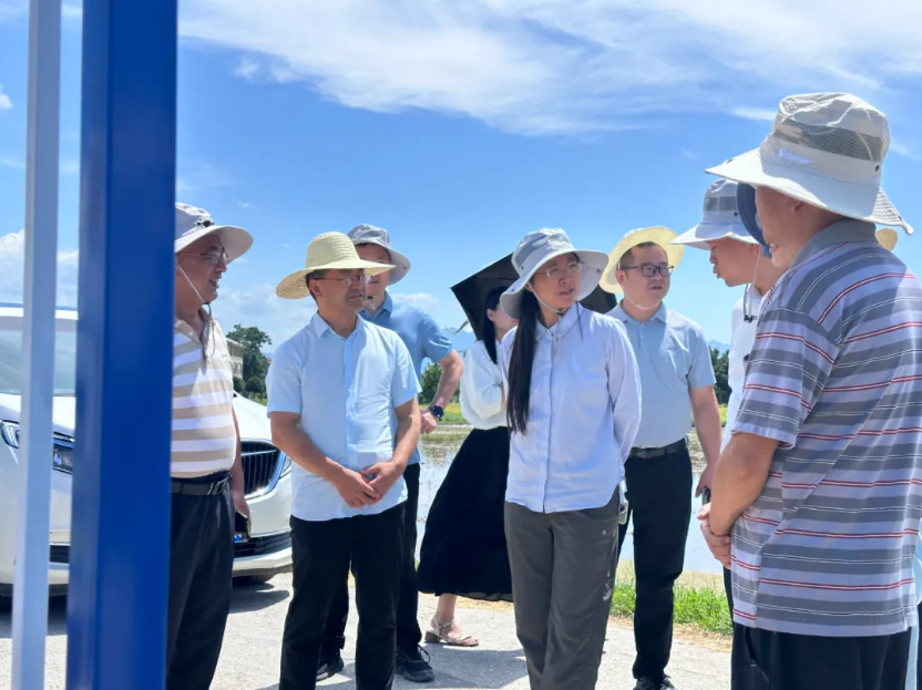 全国秋粮病虫害会商会召开 | 云飞科技湖南省级监测点获肯定