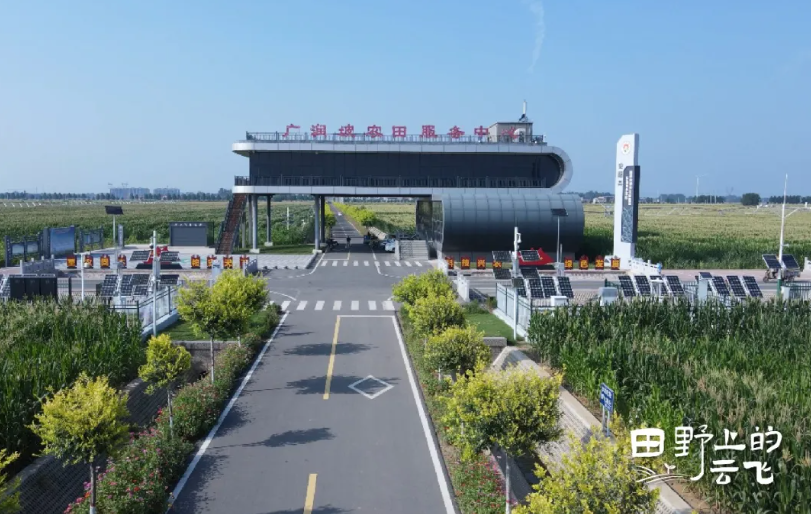 1772174053127462.jpg 1.jpg