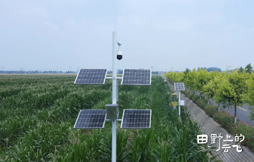 1772174211595954.jpg 3.jpg