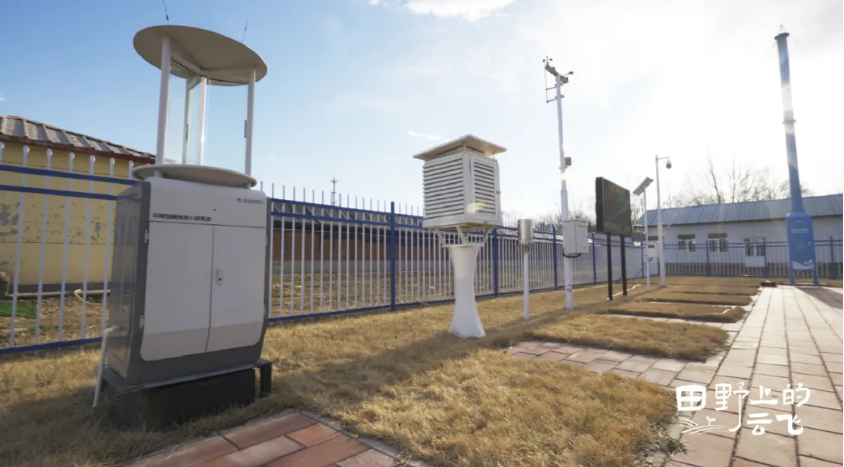 1772174532872192.jpg 2.jpg