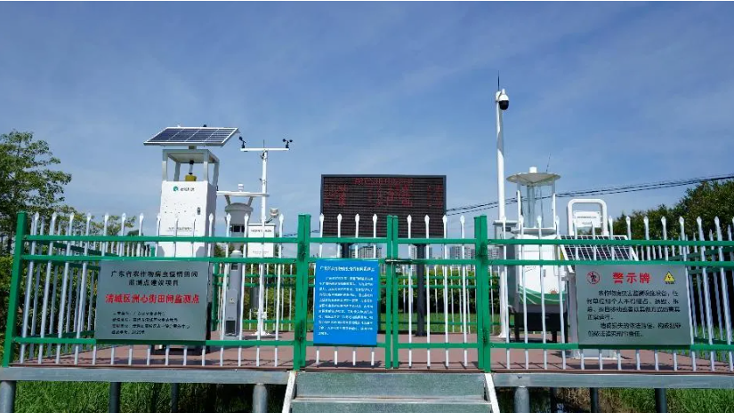 1772182056782199.jpg 1.jpg