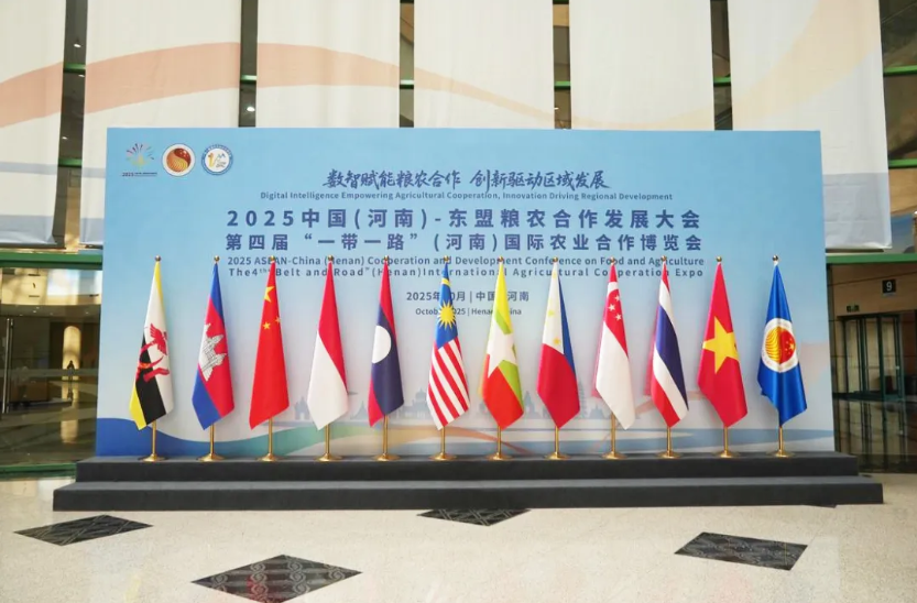 1772182334542568.jpg 1.jpg