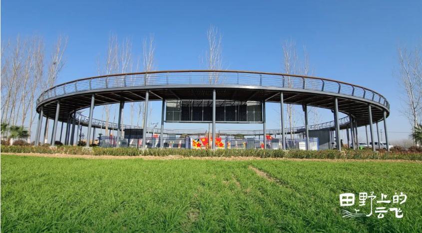 1772182598427850.jpg 1.jpg