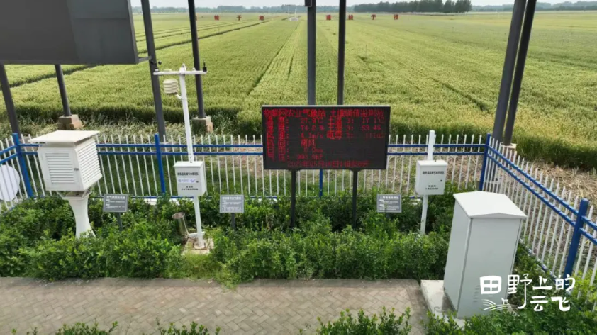 1772182629429904.jpg 2.jpg