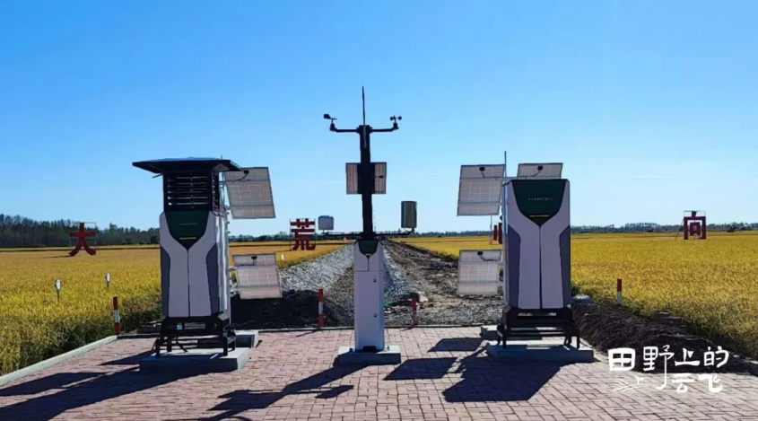 1772183779107287.jpg 2.jpg