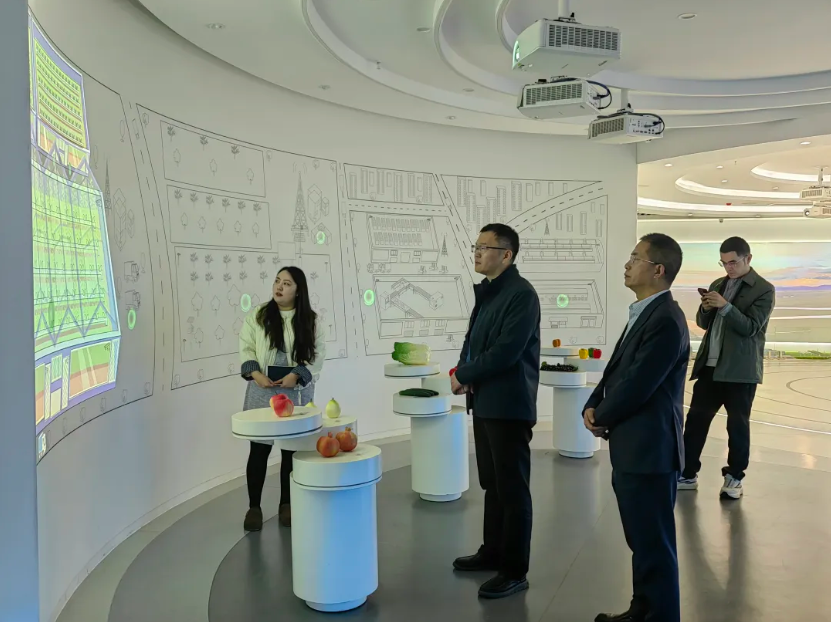 1772189688152507.jpg 2.jpg