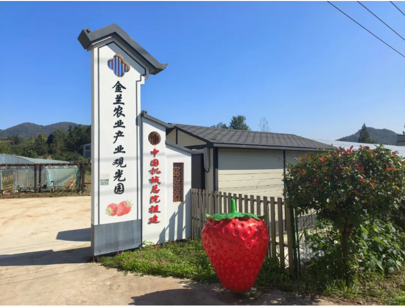 1772189870110895.jpg 1.jpg