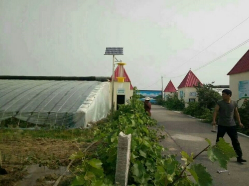 茶园专用杀虫灯价格