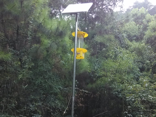 太阳能频振式杀虫灯电池是多少伏