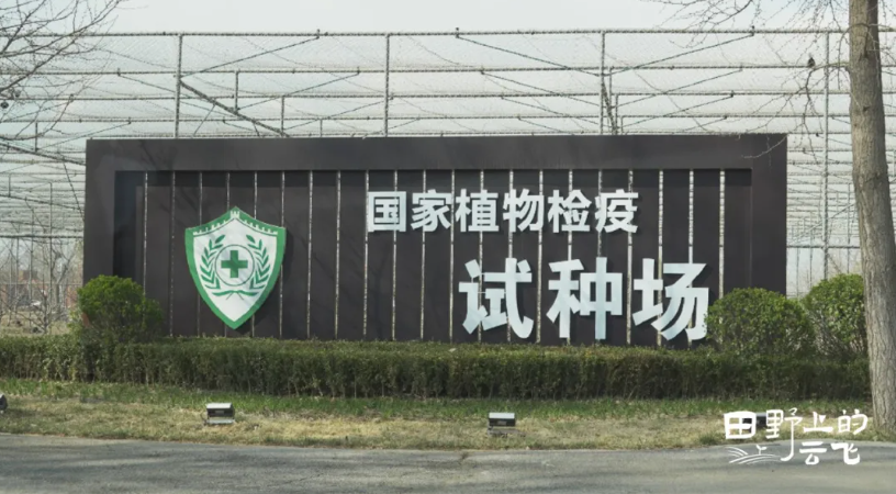 全国农技推广中心顺义基地：数字监测勾勒植保新图景