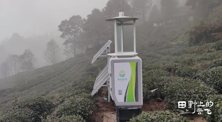 80+京东农场：健康餐桌背后的数字守护