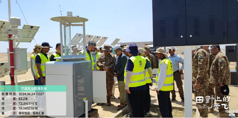 巴基斯坦智慧农业项目：跨越高温与炮火的守护