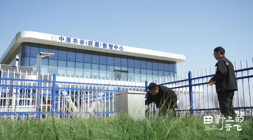 《田野上的云飞》 | 中原农谷：从田成方到数成网
