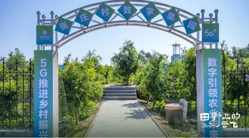 中国移动5G+智慧果园 种石榴有了“新科技”