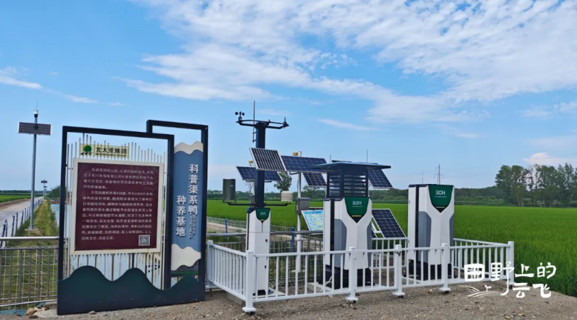 在北大荒，100个农场的黑土地有了“新科技”