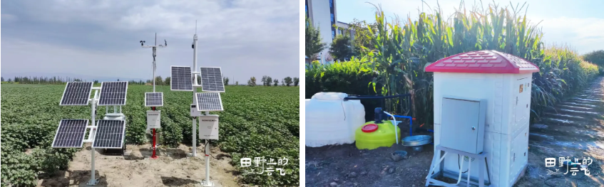 库尔勒市制种大县项目：在戈壁绿洲，让田野可感、可判、可控