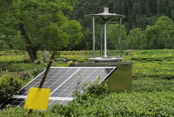 虫情信息采集系统助力蔬菜实现绿色生态化种植